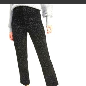 NWT Black straight Ankle Leopard velvet print pant US12
